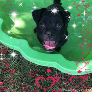 Meet your Posher, Brenda